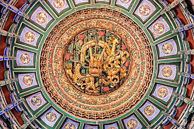 《动物园之星》湿地DLC公布 新增水豚和鸭嘴兽等